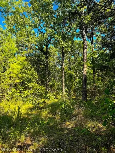 Tbd Blackfork, Mena, AR 71953 photo 40