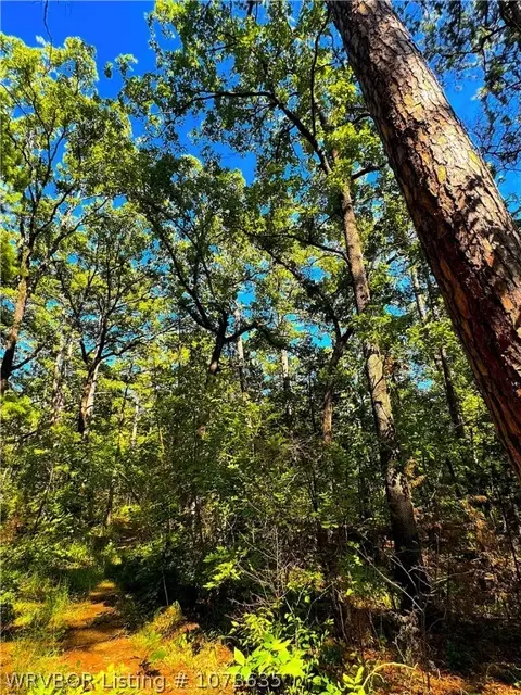 Tbd Blackfork, Mena, AR 71953 photo 37
