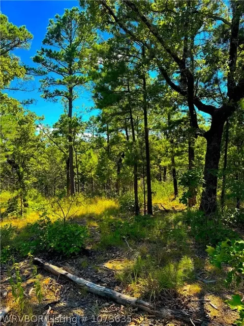 Tbd Blackfork, Mena, AR 71953 photo 14