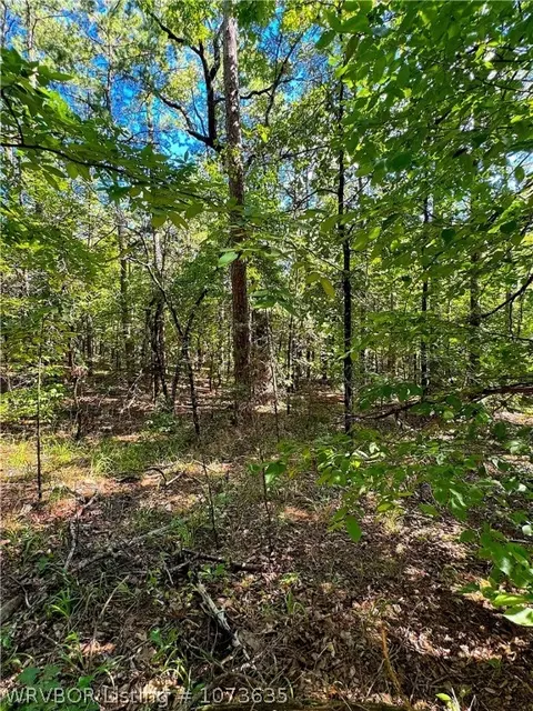 Tbd Blackfork, Mena, AR 71953 photo 35