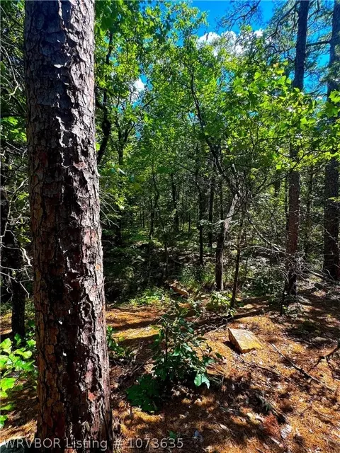 Tbd Blackfork, Mena, AR 71953 photo 31