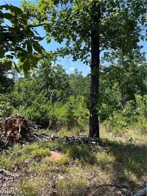 Tbd Eagle's Nest, Clayton, OK 74536