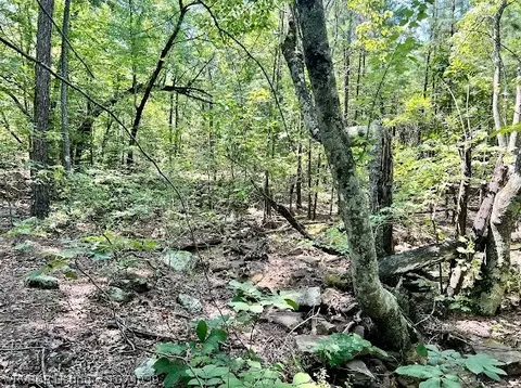 tbd Pine Mountain Rnch, Panola, OK 74559