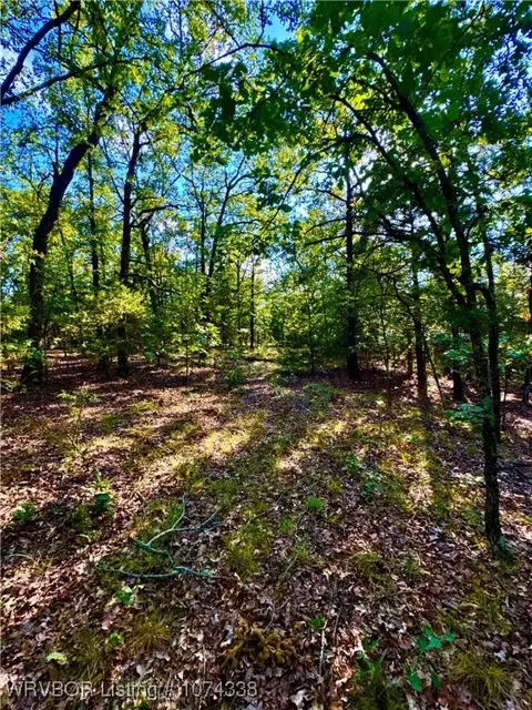 1809 Frazier Rd, Mansfield, AR 72944 photo 23