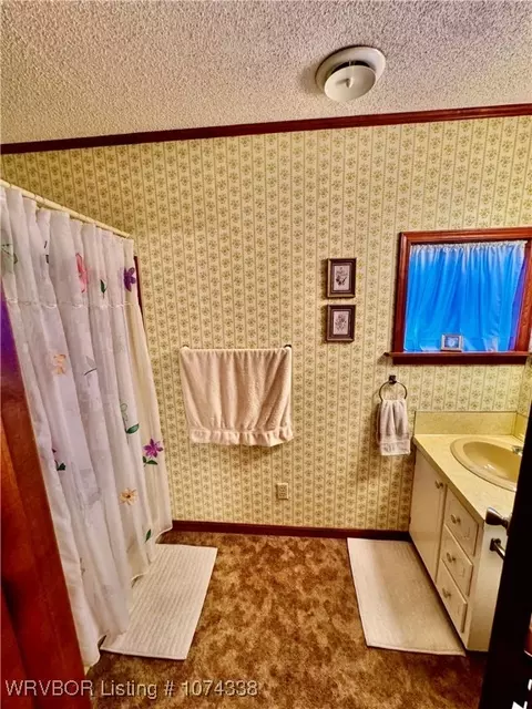 1809 Frazier Rd, Mansfield, AR 72944 photo 35