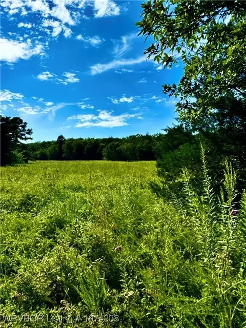 1809 Frazier Rd, Mansfield, AR 72944 photo 11