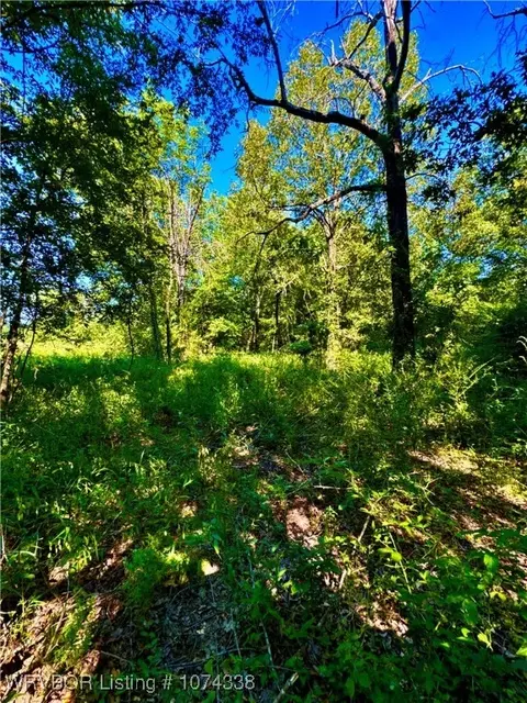 1809 Frazier Rd, Mansfield, AR 72944 photo 5