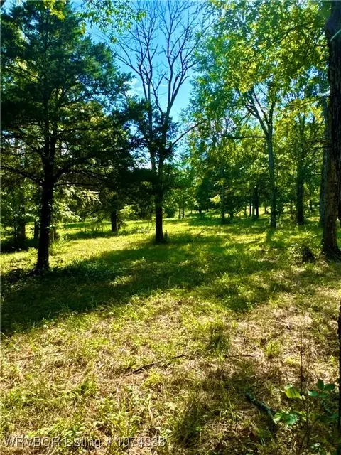 1809 Frazier Rd, Mansfield, AR 72944 photo 18
