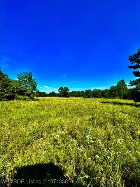 1809 Frazier Rd, Mansfield, AR 72944 photo 8