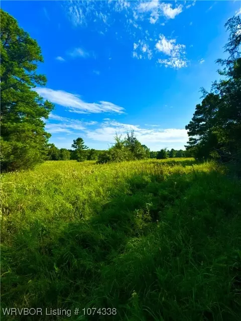 1809 Frazier Rd, Mansfield, AR 72944 photo 15