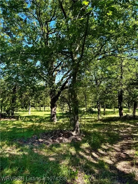 1809 Frazier Rd, Mansfield, AR 72944 photo 3