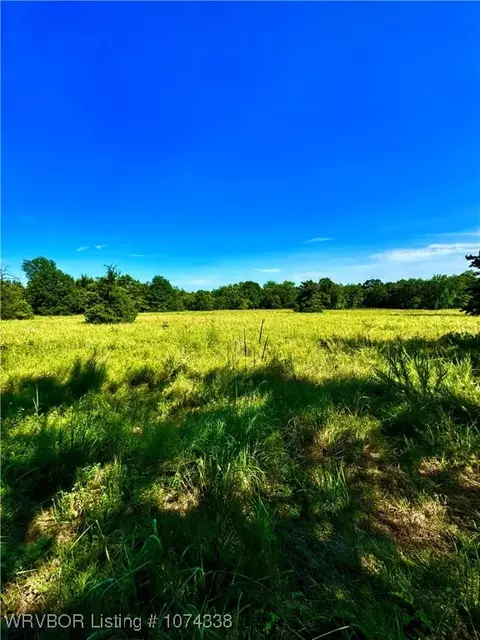 1809 Frazier Rd, Mansfield, AR 72944 photo 6