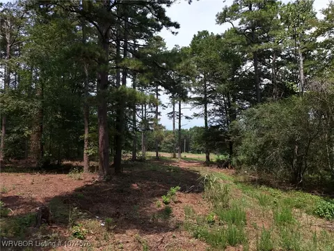 4037 Wagon Wheel Ln, Ozark, AR 72949 photo 12
