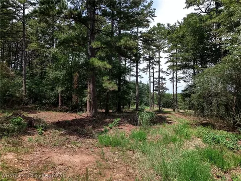 4037 Wagon Wheel Ln, Ozark, AR 72949 photo 14