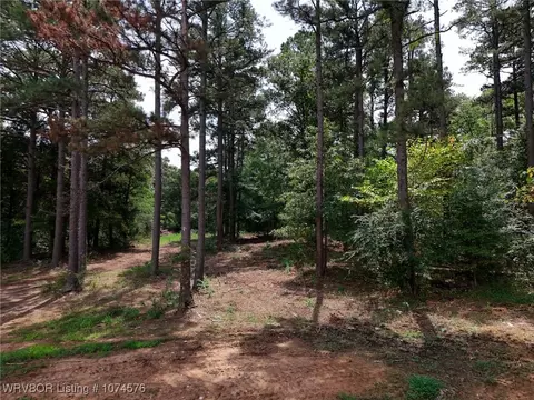 4037 Wagon Wheel Ln, Ozark, AR 72949 photo 13
