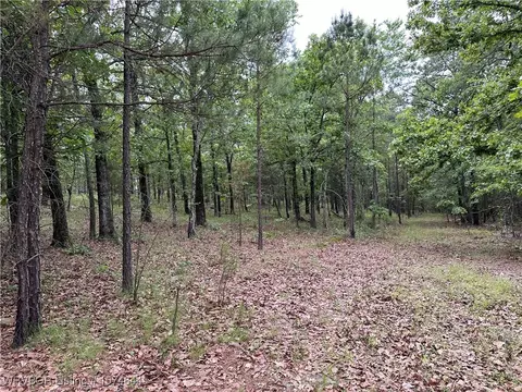 112 Hicks Chapel Rd, Fanshawe, OK 74935