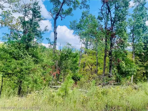 tbd Rock Crk, Mulberry, AR 72947