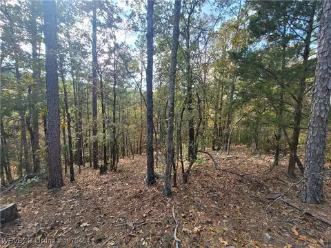 Tract 6 Benson Lane, Heavener, OK 74937