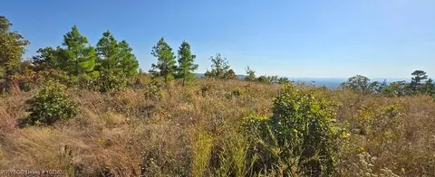 tbd Round Mtn, Howe, OK 74940 photo 3