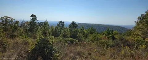 tbd Round Mtn, Howe, OK 74940 photo 5