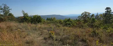 tbd Round Mtn, Howe, OK 74940 photo 4