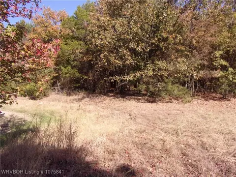 tbd Low Gap Rd, Ozark, AR 72949 photo 11