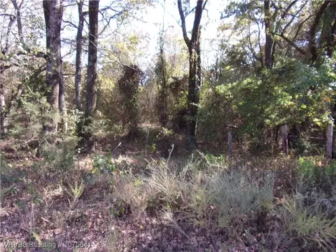 tbd Low Gap Rd, Ozark, AR 72949 photo 14