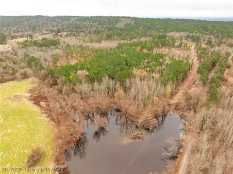 tbd Wildforest Rd, Waldron, AR 72958 photo 47