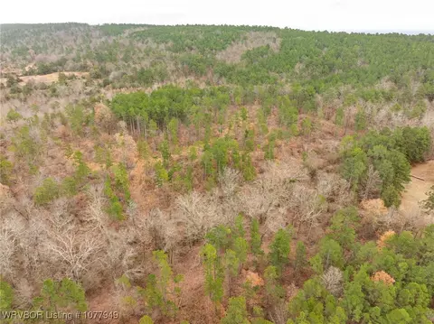 tbd Wildforest Rd, Waldron, AR 72958 photo 44