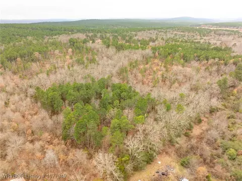 tbd Wildforest Rd, Waldron, AR 72958 photo 46