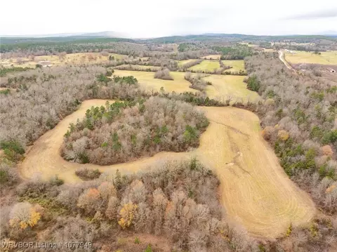 tbd Wildforest Rd, Waldron, AR 72958 photo 8