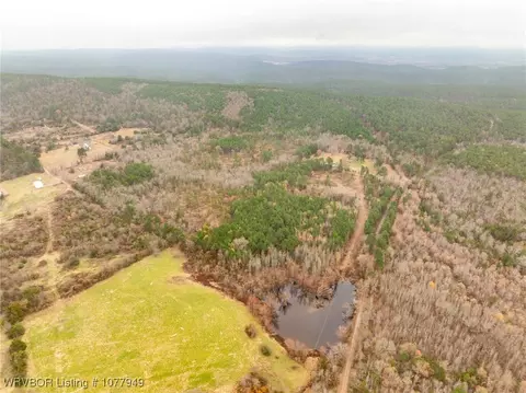 tbd Wildforest Rd, Waldron, AR 72958 photo 32