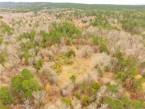 tbd Wildforest Rd, Waldron, AR 72958 photo 38