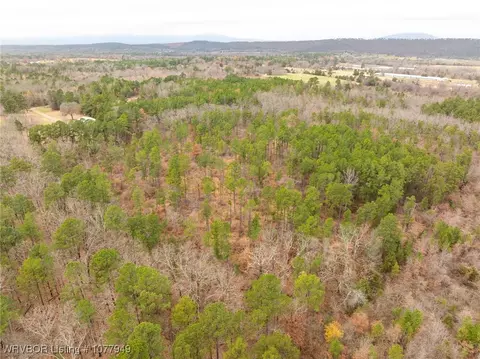 tbd Wildforest Rd, Waldron, AR 72958 photo 45