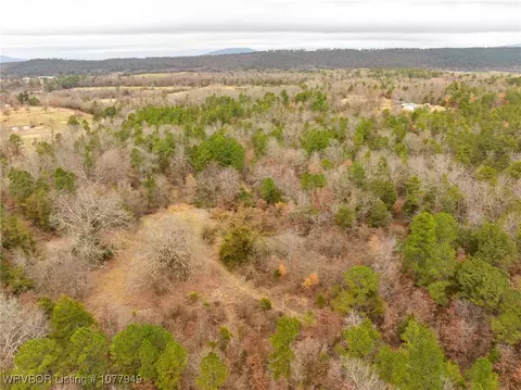 tbd Wildforest Rd, Waldron, AR 72958 photo 40