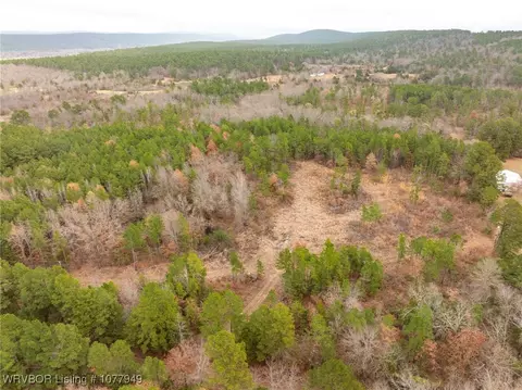 tbd Wildforest Rd, Waldron, AR 72958 photo 43