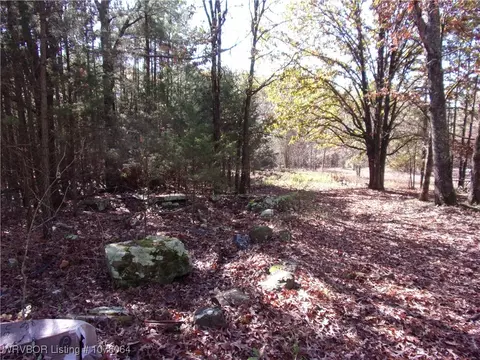 15233 Winds Rd, Ozark, AR 72949 photo 11