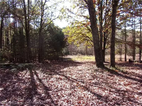 15233 Winds Rd, Ozark, AR 72949 photo 13