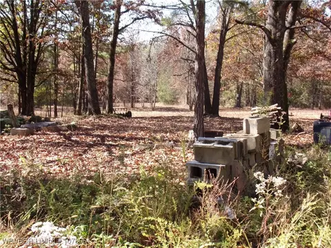 15233 Winds Rd, Ozark, AR 72949 photo 8