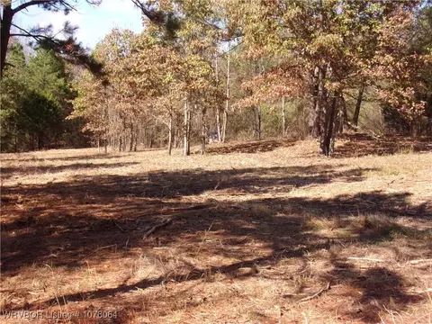 15233 Winds Rd, Ozark, AR 72949 photo 7