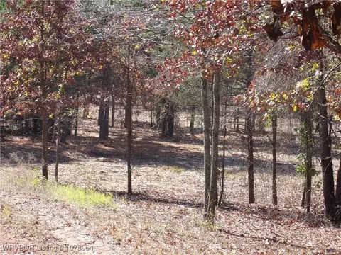 15233 Winds Rd, Ozark, AR 72949 photo 4