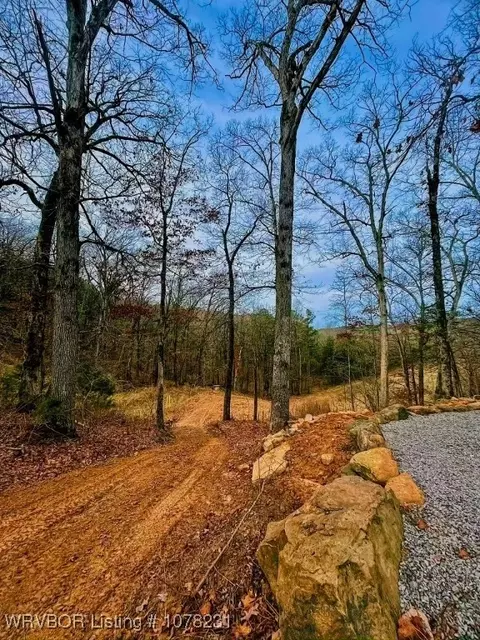 4150 Low Gap Rd, Ozark, AR 72949 photo 35
