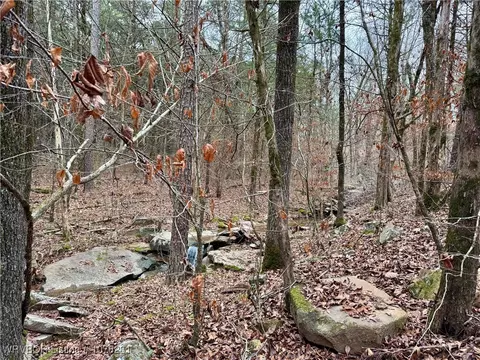4150 Low Gap Rd, Ozark, AR 72949 photo 39