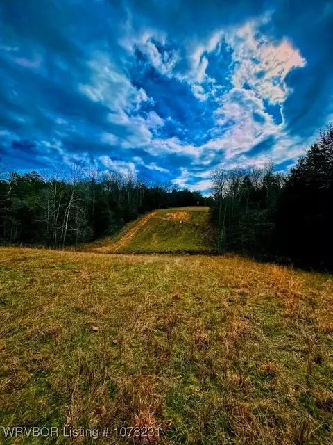 4150 Low Gap Rd, Ozark, AR 72949 photo 32