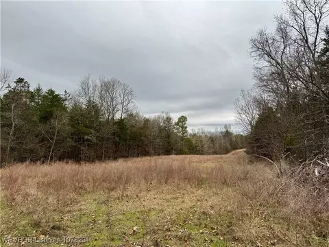 4150 Low Gap Rd, Ozark, AR 72949 photo 36