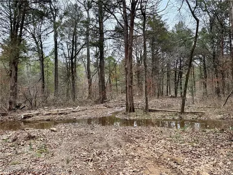 4150 Low Gap Rd, Ozark, AR 72949 photo 38