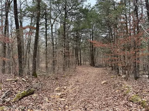 4150 Low Gap Rd, Ozark, AR 72949 photo 40