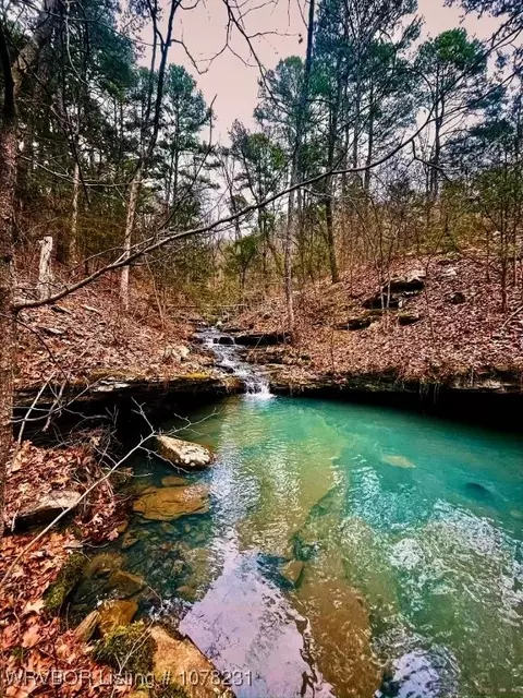 4150 Low Gap Rd, Ozark, AR 72949 photo 33