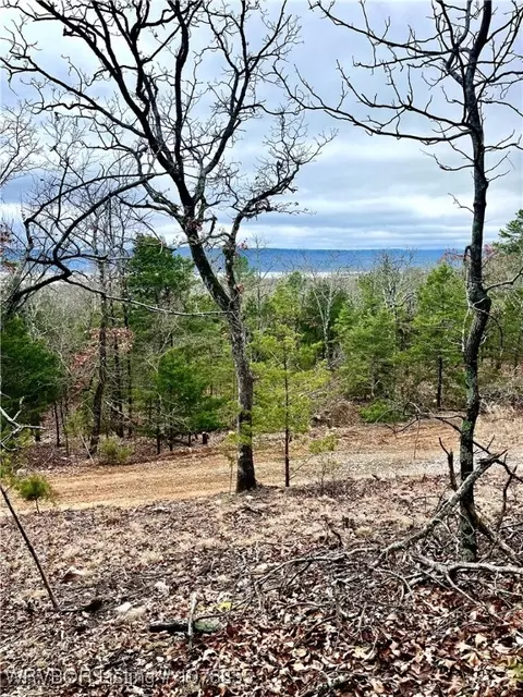 Tract 17 Wolf Mountain Rd., Clayton, OK 74536