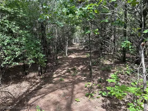 tbd Lee Point Rd, Ozark, AR 72949 photo 3